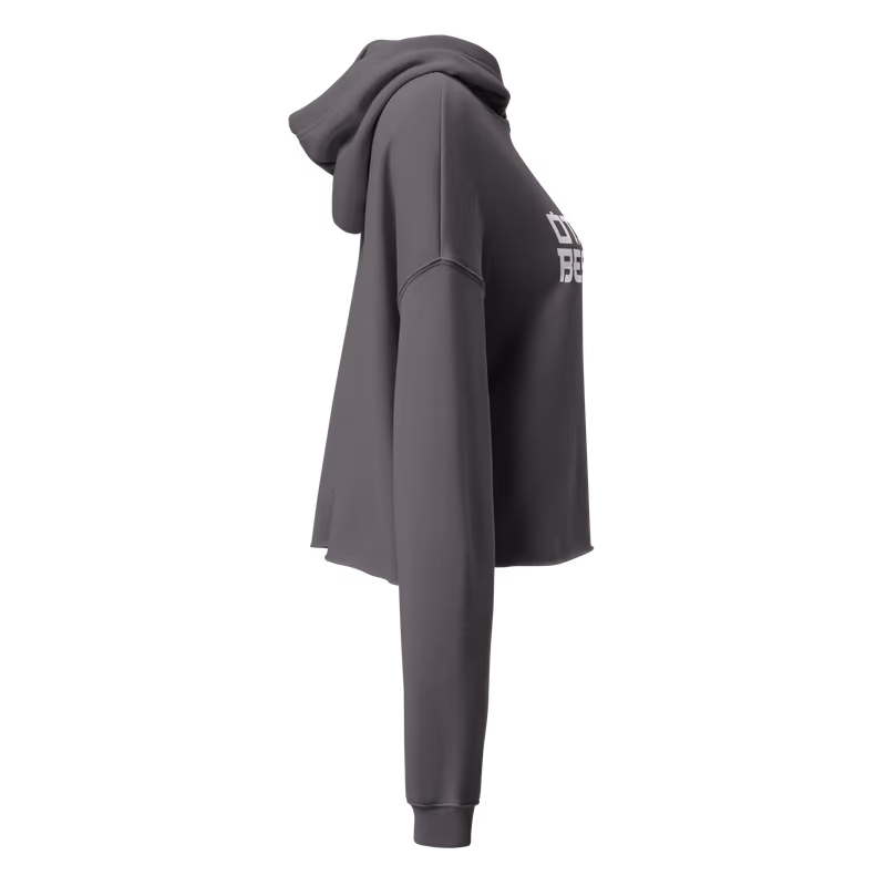 Otaku Bestie Crop Hoodie, view 4